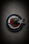 Türk Yıldızı Kartal Patch Siyah