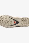 Salomon XA PRO 3D V9 GORE-TEX Outdoor Ayakkabı Çöl